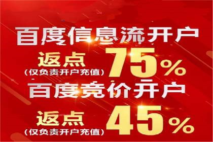 某知名品牌网络推广竞价全解析